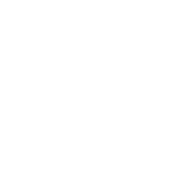 ce logo Mount Pleasant